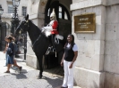 Tourist_1